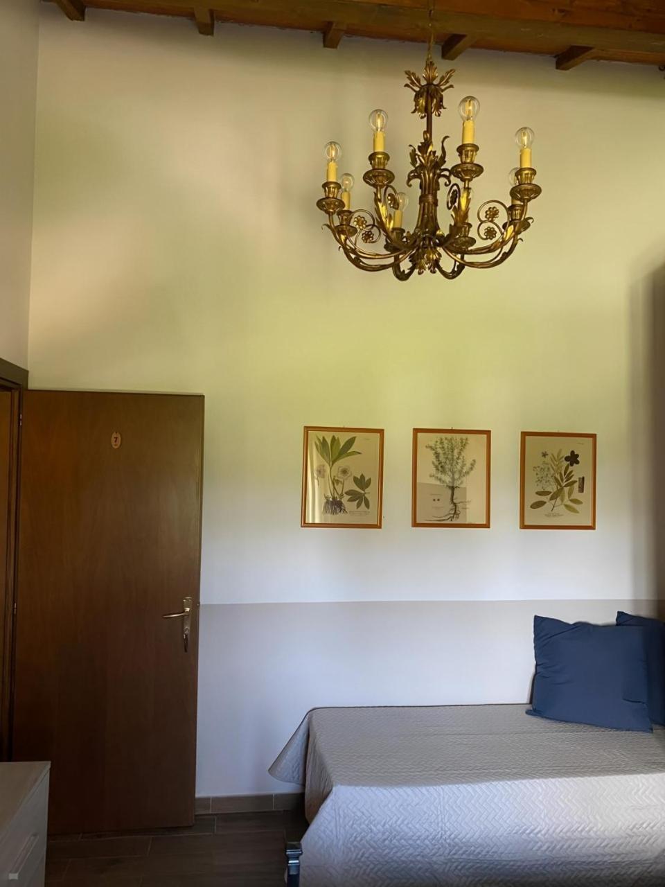 Agriturismo La Luciana Castiglione della Pescaia Buitenkant foto