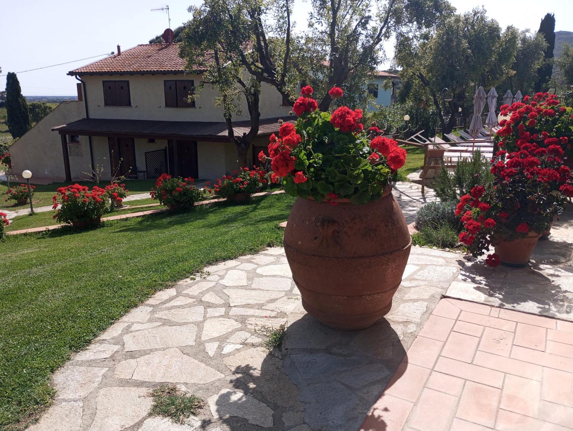 Agriturismo La Luciana Castiglione della Pescaia Buitenkant foto